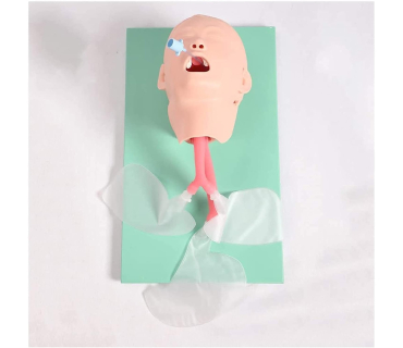 Манекен для тренування у постановці назофарин...