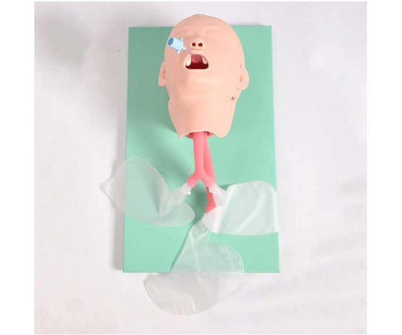 Манекен для тренування у постановці назофарингеального повітроводу ТИП 2