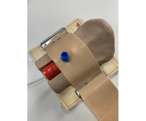 Тренажер для конікотомії