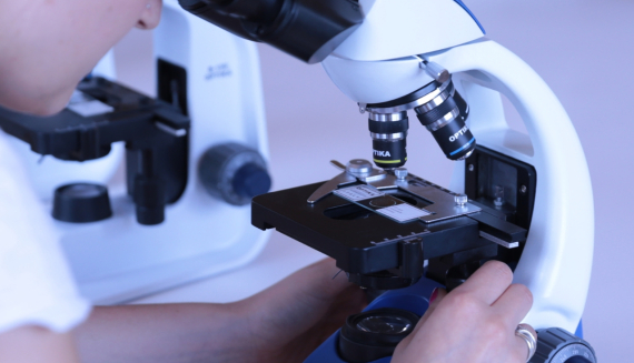 Обновление ассортимента биологических микроскопов для школы под финансирование Ukraine Facility