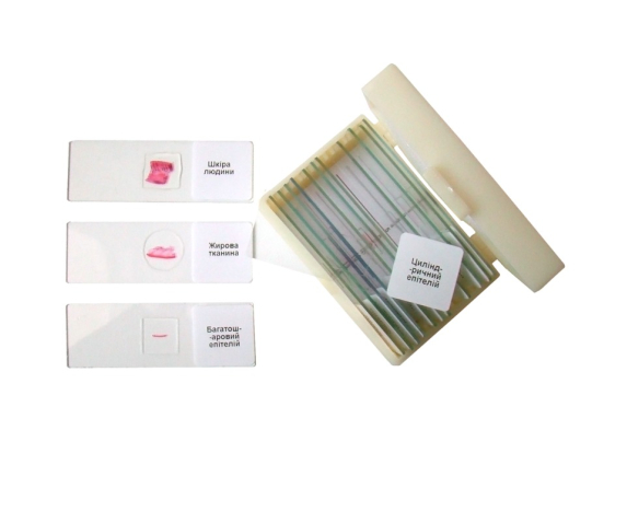 Набір мікропрепаратів «Анатомія»