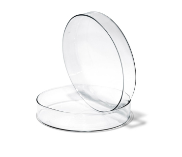 Чашка Петрі скляна