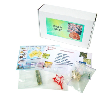 Колекція «Корали»