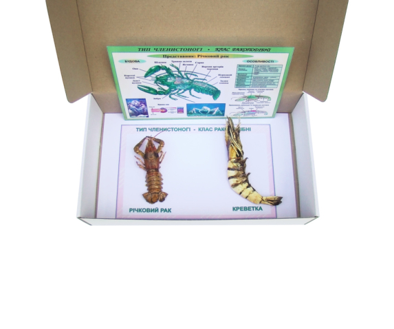 Колекція «Ракоподібні»