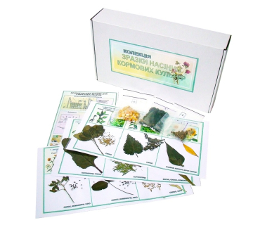 Колекція насіння кормових культур