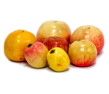 Муляжі «Дика форма та культурні сорти яблук»