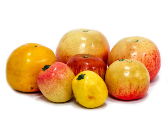 Муляжі «Дика форма та культурні сорти яблук»