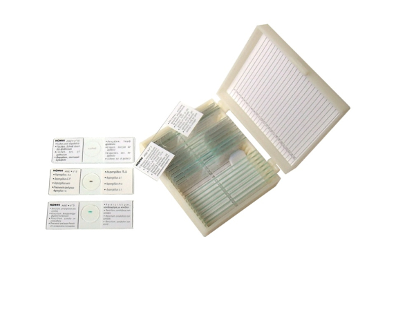 Набір мікропрепаратів «Гриби»