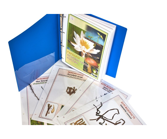 Гербарій «Основні групи рослин»