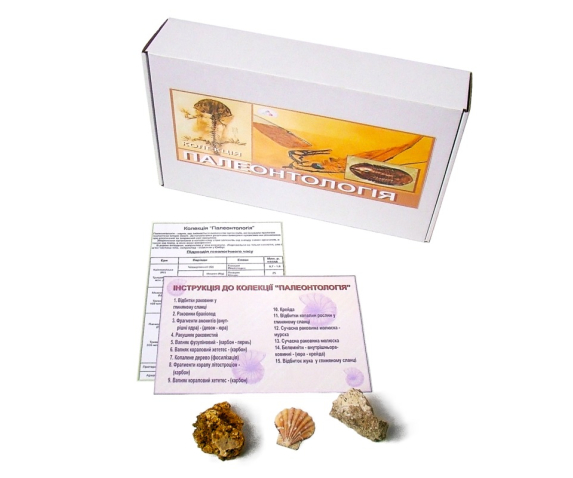 Колекція «Палеонтологічна (форми збереження викопних решток рослин і тварин)»