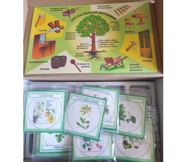 Колекція видів деревини