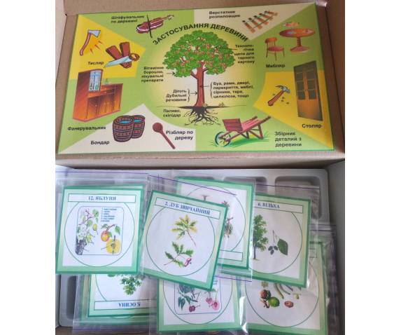 Колекція видів деревини