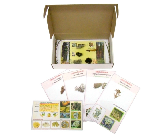 Гербарій. Лишайники