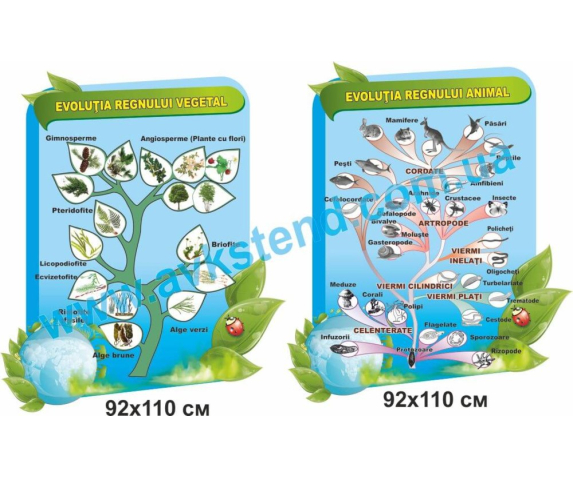 Комплект стендів для кабінету біології румунською мовою №2
