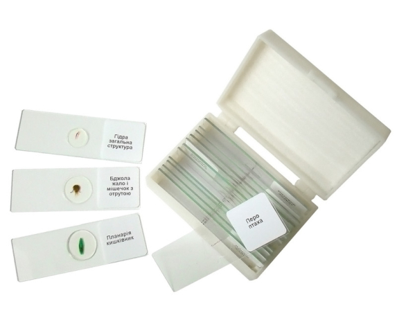 Набір мікропрепаратів «Зоологія»