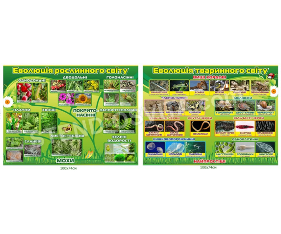 Комплект стендів для кабінету біології №4