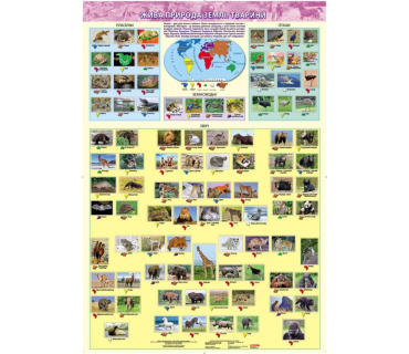 Комплект плакатів: "Жива природа"