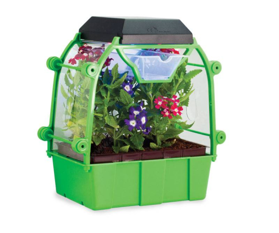 Набір для спостереження за розвитком і ростом рослин