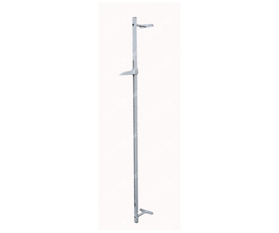 Ростомір настінний