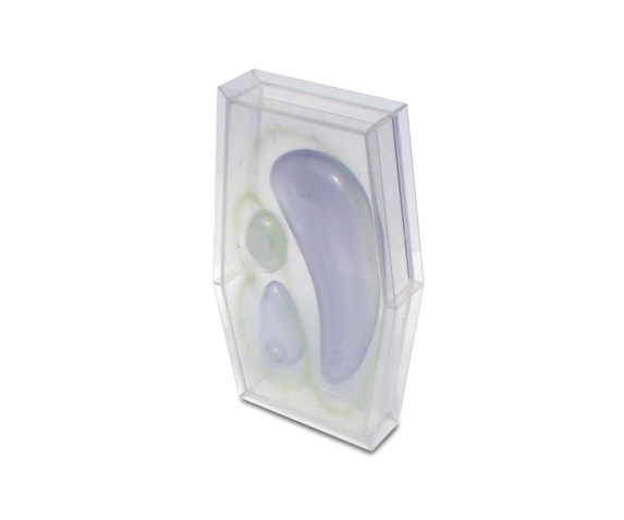 Обʼємна модель. Клітина рослинна тип 3