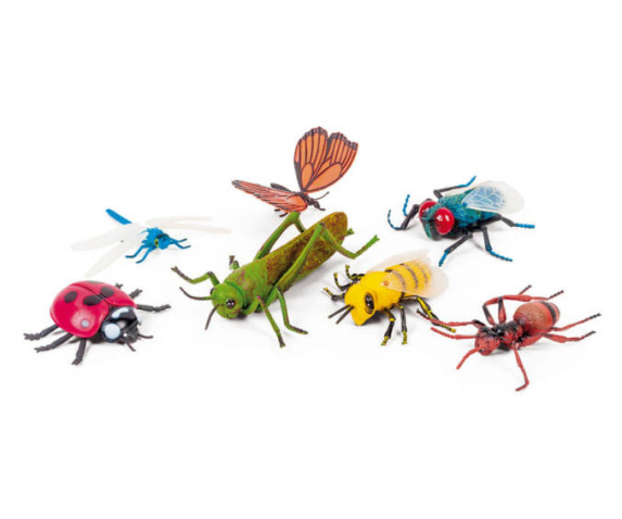 Набір «Комахи»
