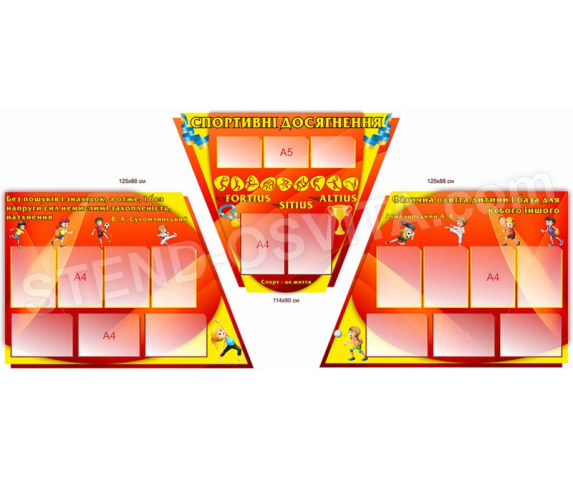 Комплект стендів «Спортивні досягнення»