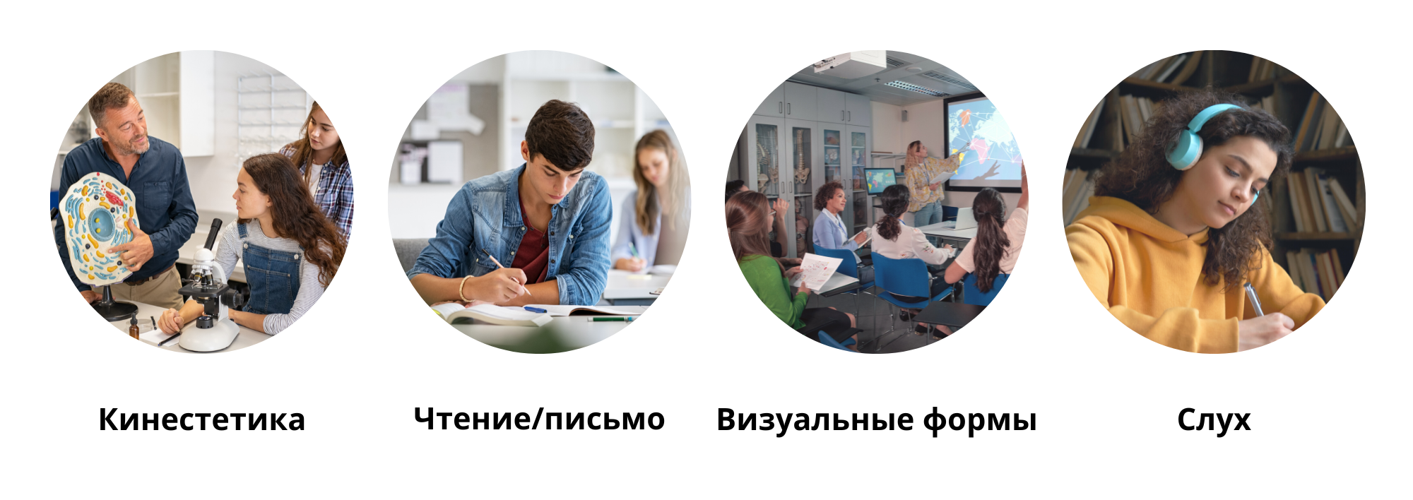 Школьные кабинеты под ключ Elizlabs